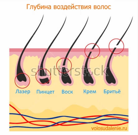 Схема глубины воздействия крем депиляционный для мужчин