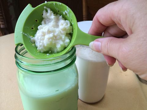 домашний кефир