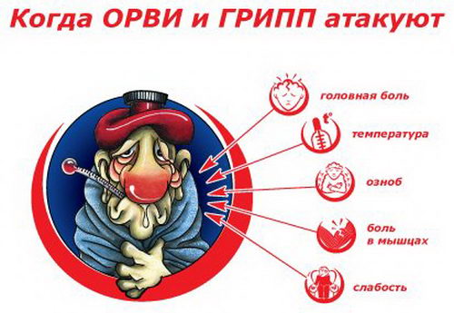 Симптомы ОРВИ Симптомы ОРВИ